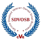 Service Disabled Veteran Owned Small Business